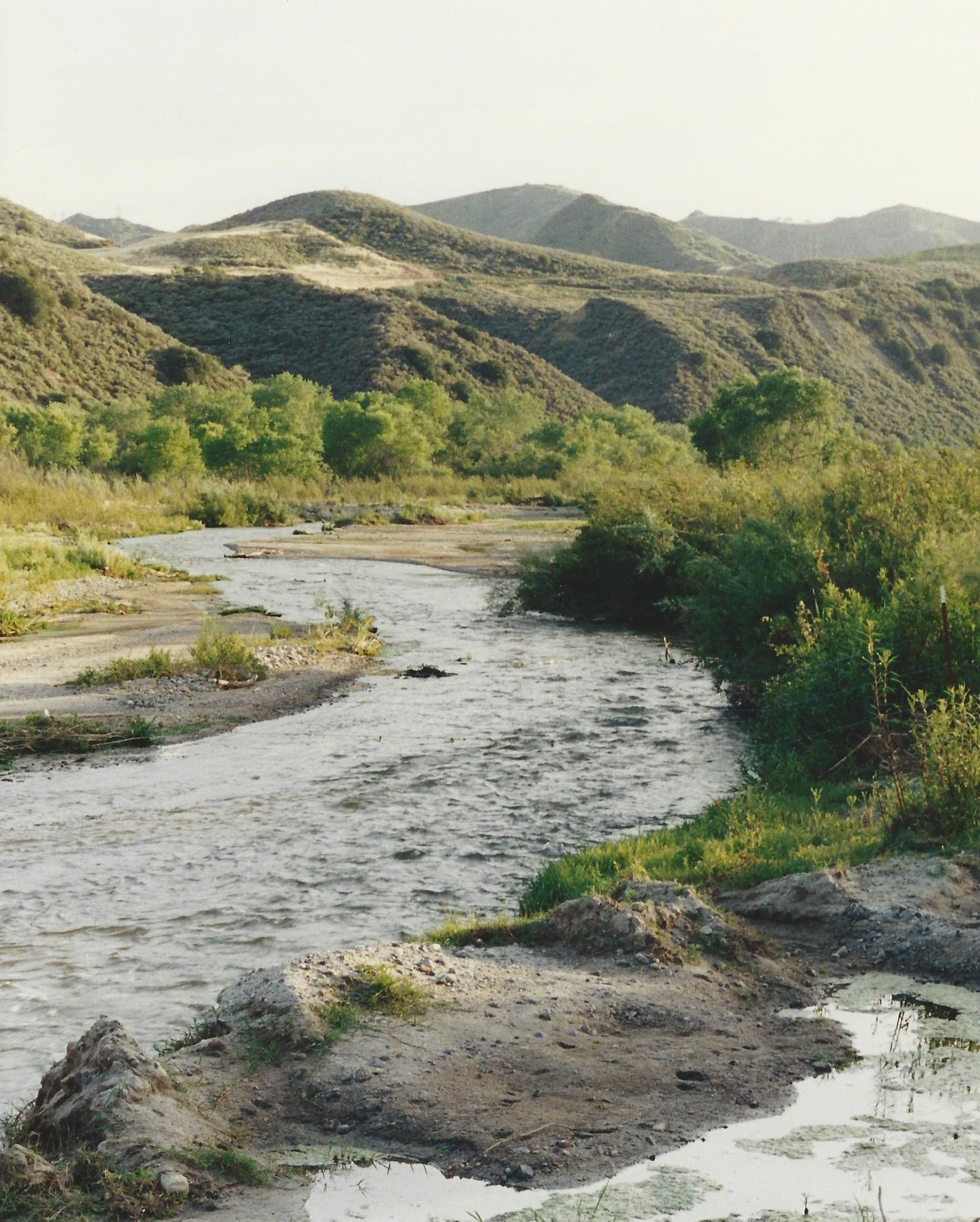 Santa Clara River credit Lynne Plambeck.jpg