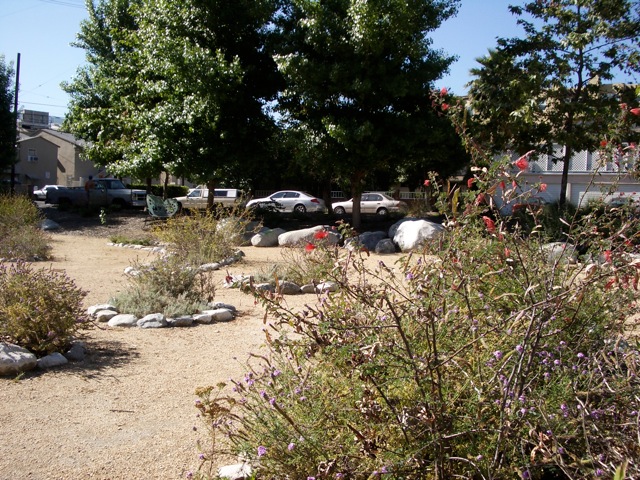 Butterfly Garden copy.jpg