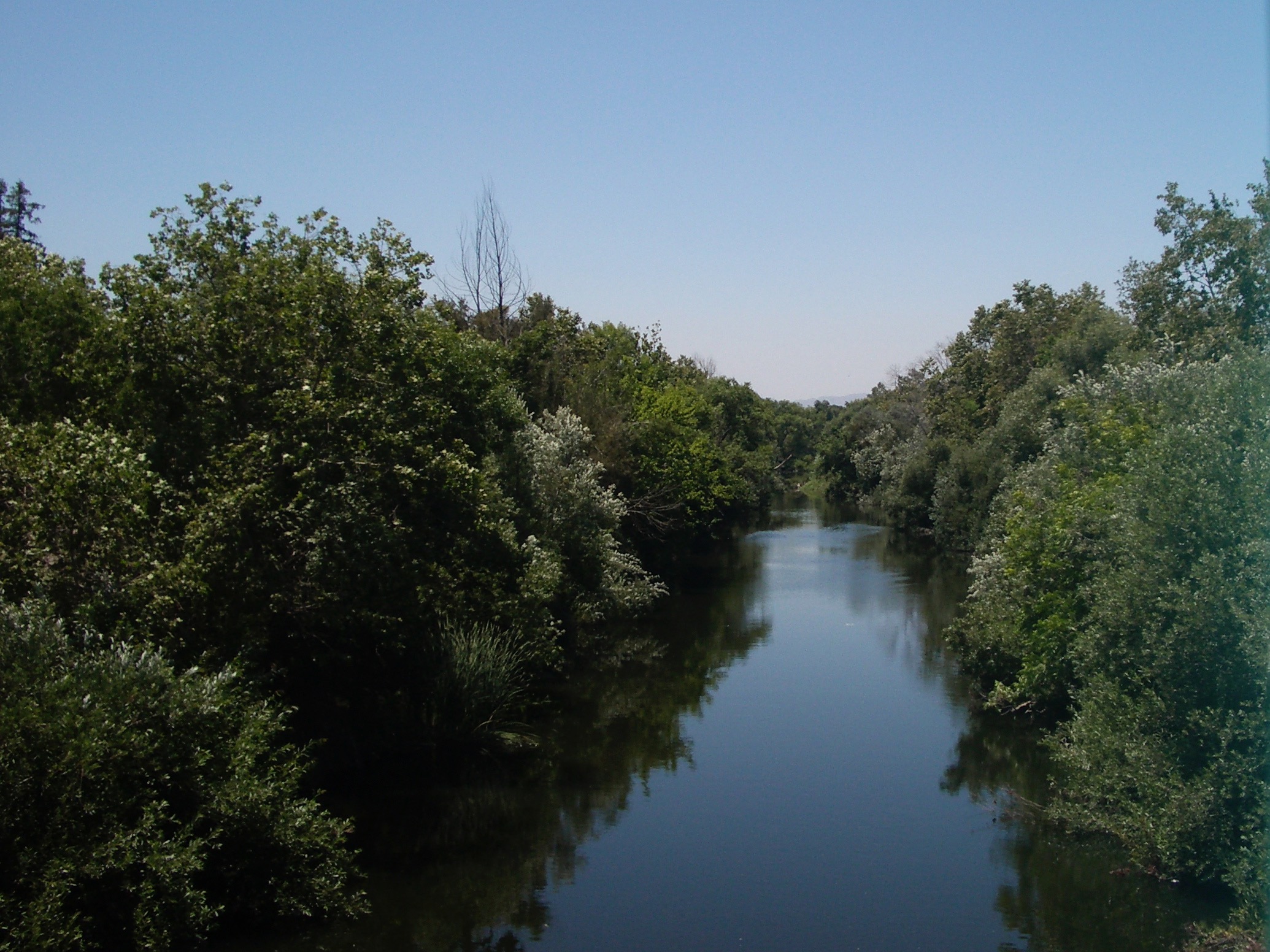 IMGP3683.jpg