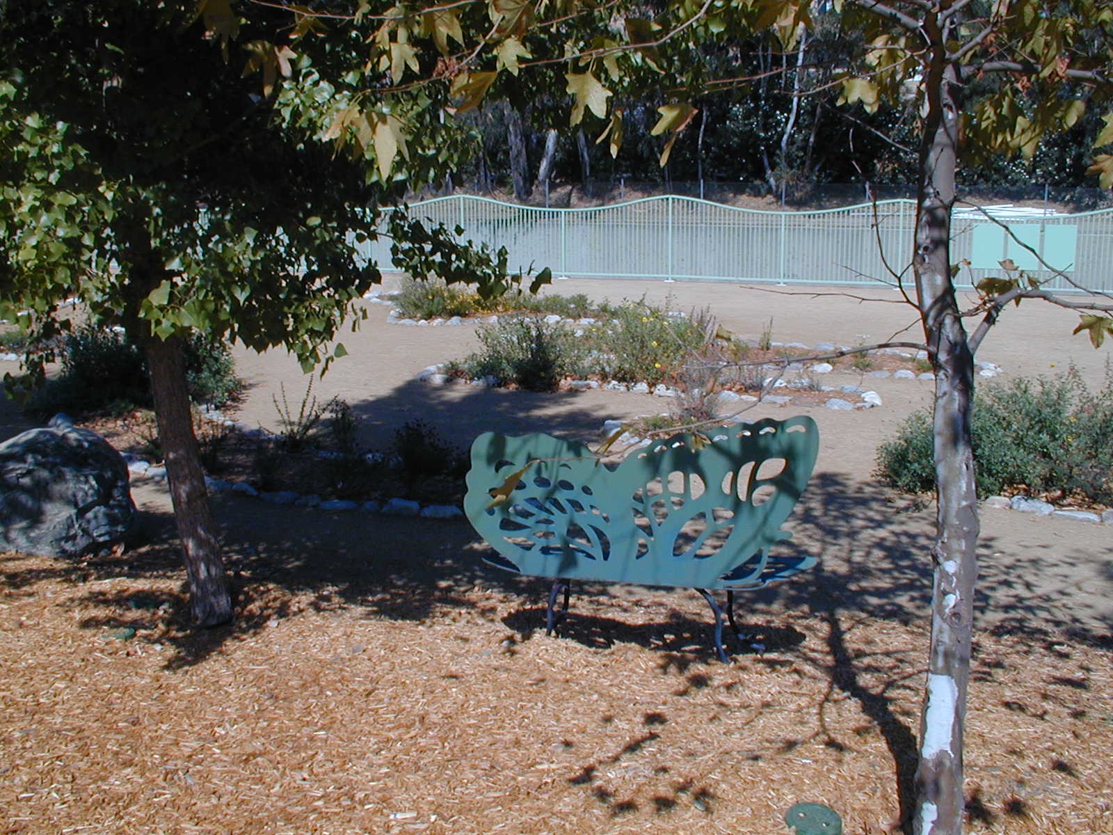 Butterfly Bench copy.jpg