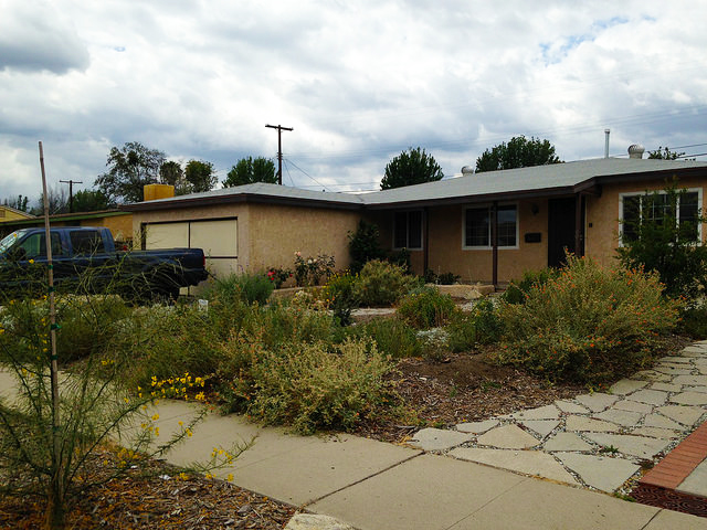 Ex Drought Tolerant Landscaping.jpg