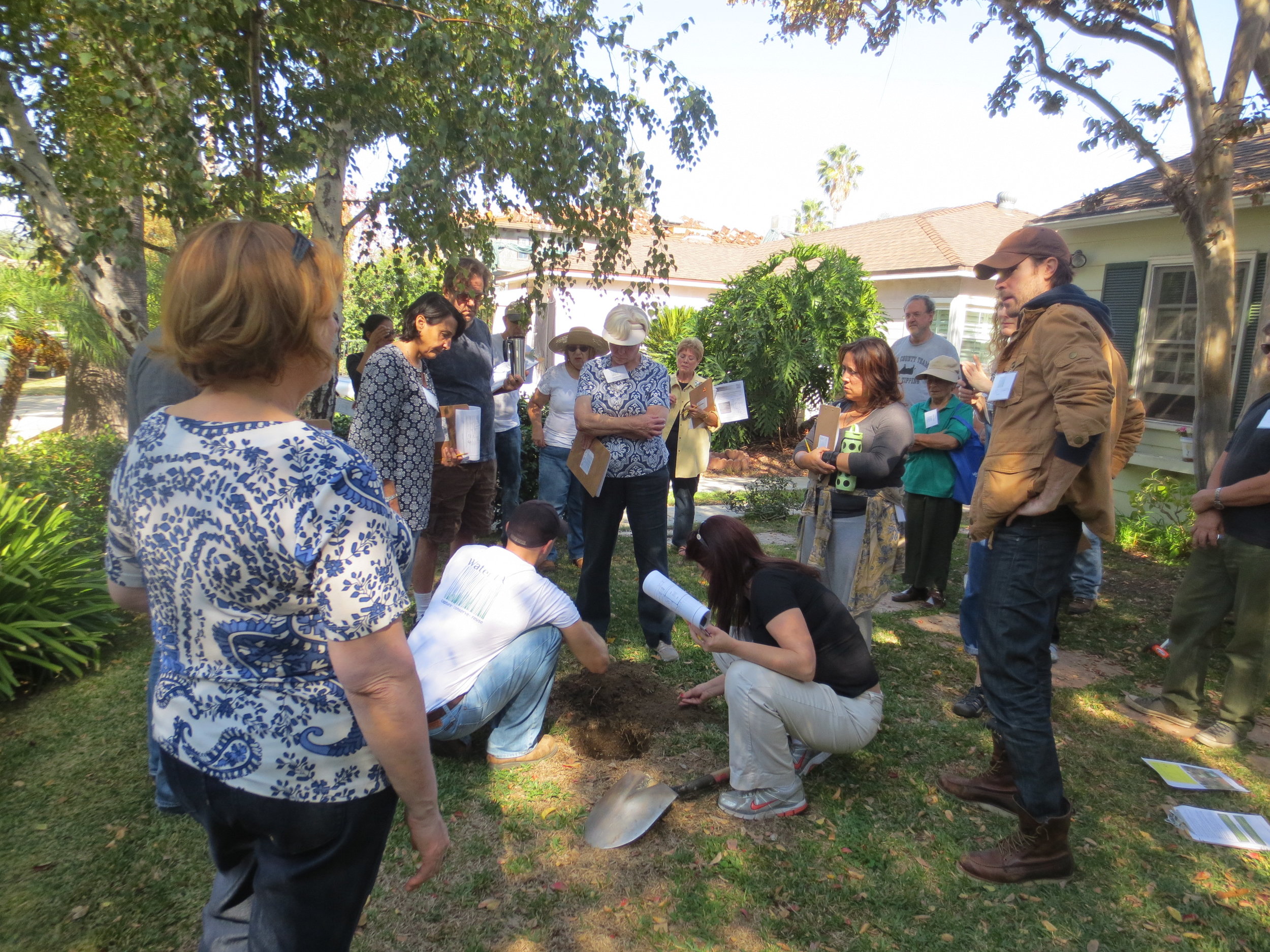 site_4142 soil.jpg