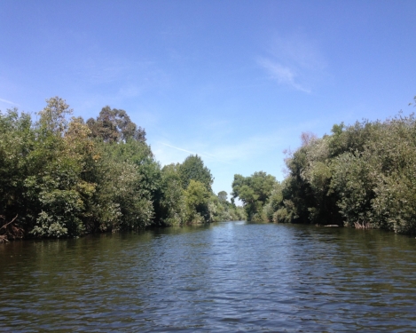 LA River_Sepulveda Basin.jpg