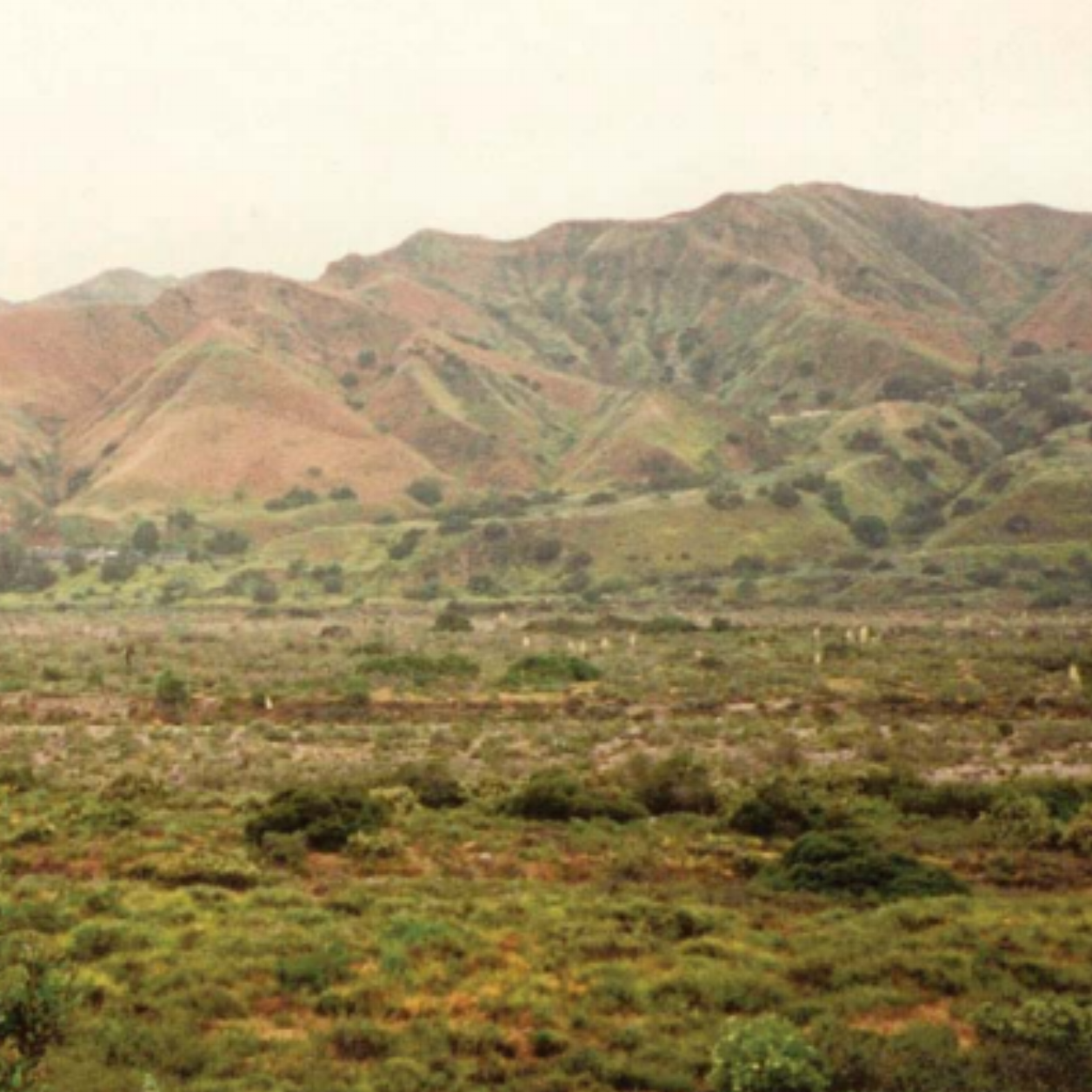 Tujunga-Wash-pic-01.png