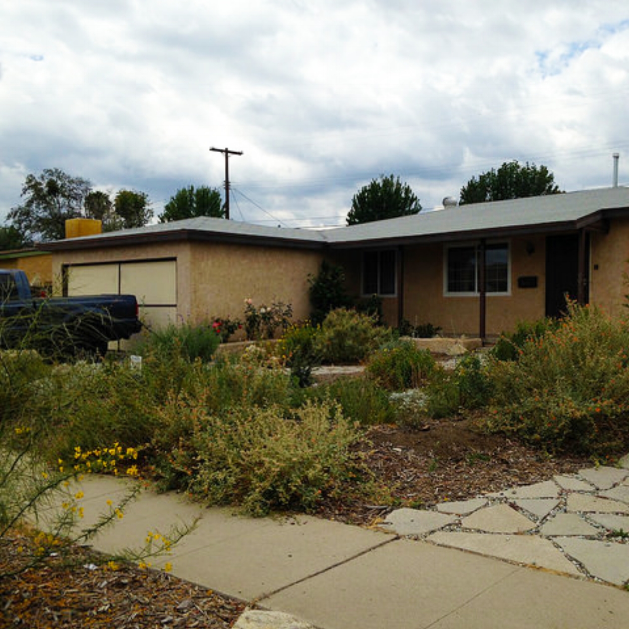 Ex Drought Tolerant Landscaping.jpg