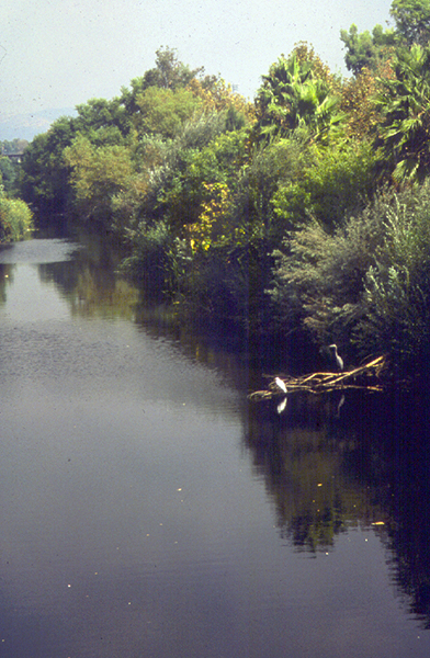 Sepulveda Basin_2.jpg