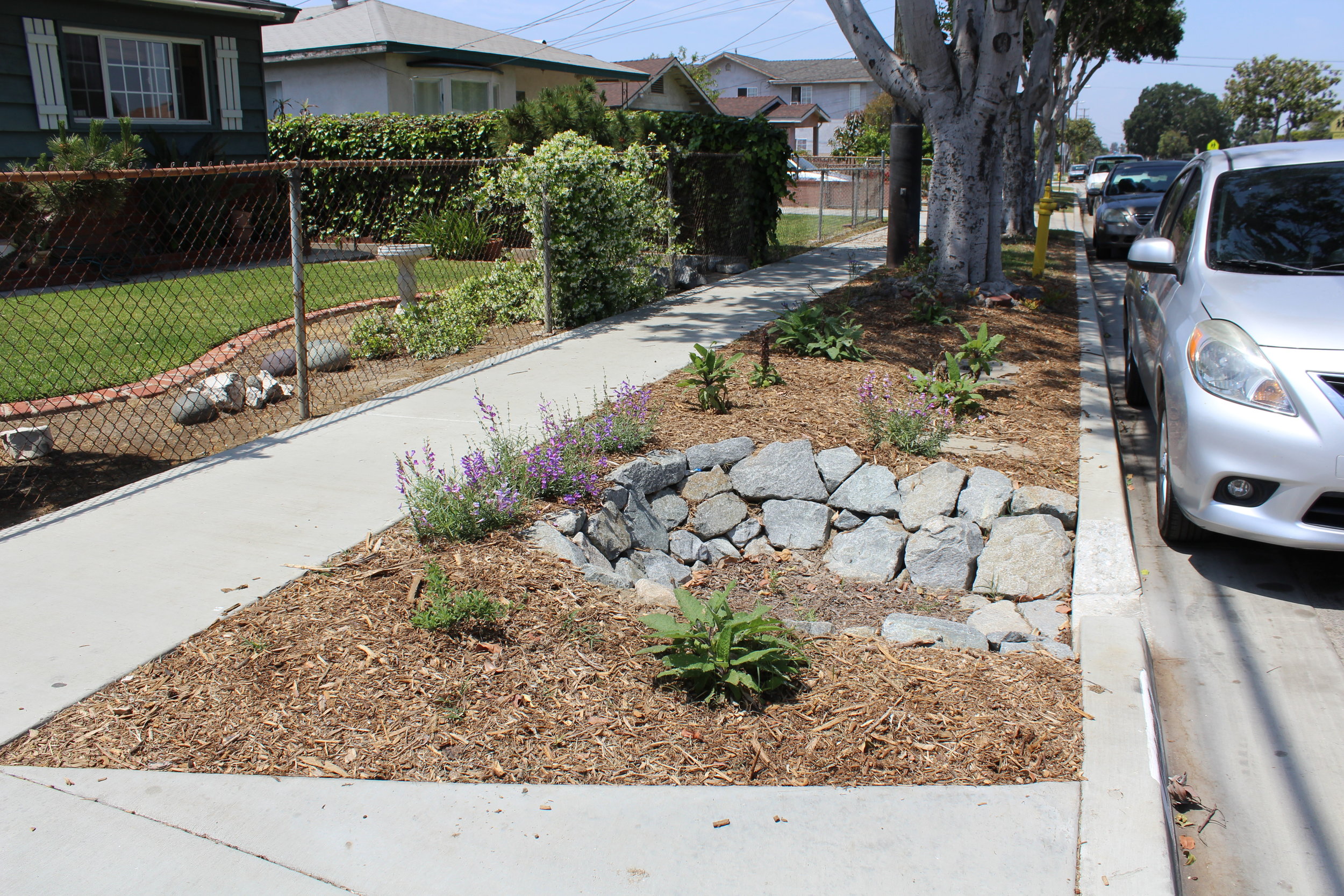11522 Rivera Rd_Cazares2.jpg
