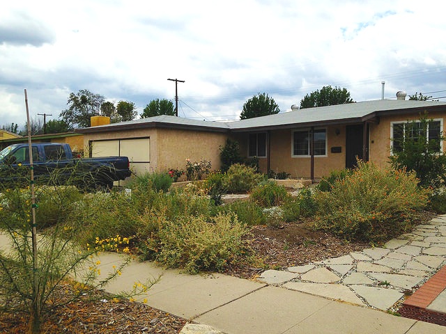 Ex+Drought+Tolerant+Landscaping.jpg