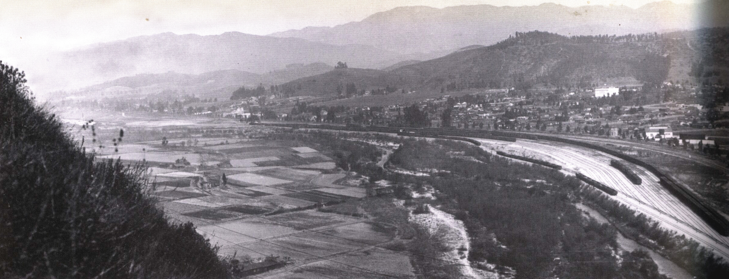 TY1918 copy.jpg